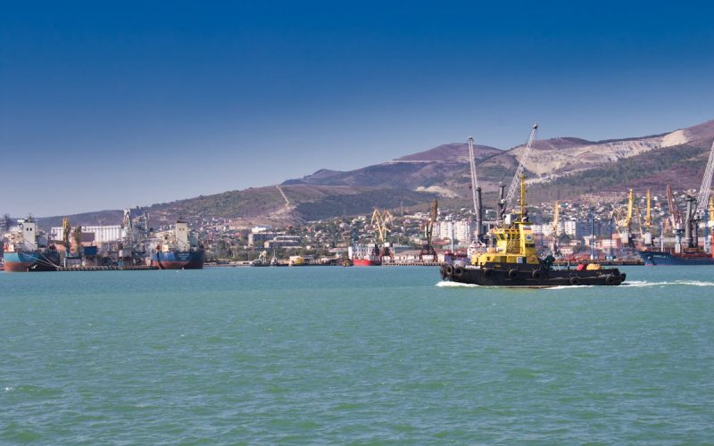 Características principales del proteccionismo comercial