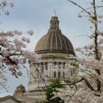 Corrupción y distorsiones económicas