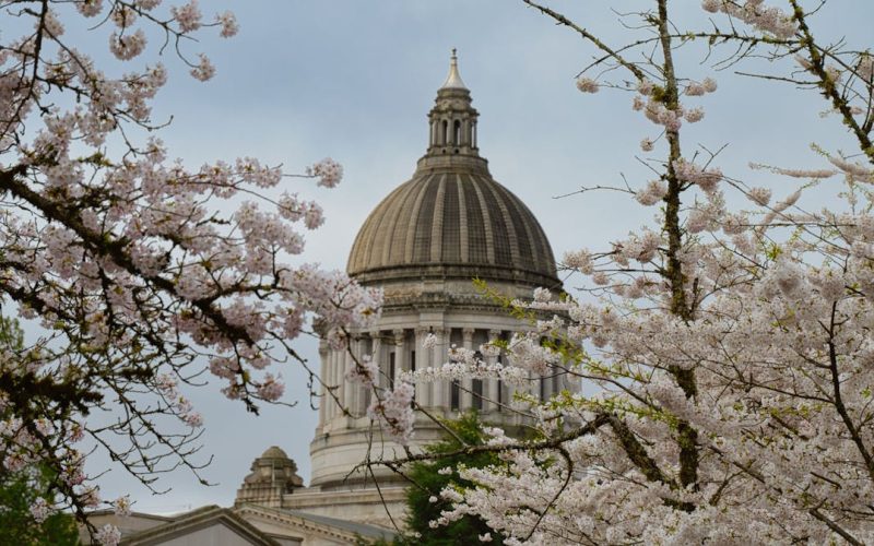 Corrupción y distorsiones económicas